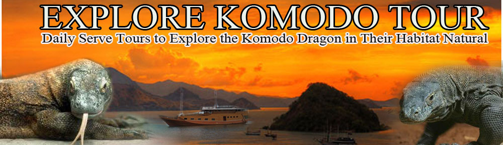 explore komodo tours
